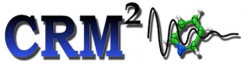 <b>CRM2</b>